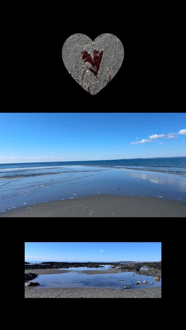 Sandbar #💛 #🌊 #maineart #seagulls #lovethis